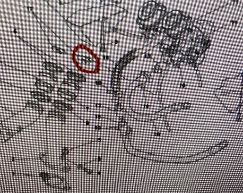 Monster Drossel Motor Und Antrieb Monstercafe Das Ducati